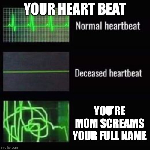 heartbeat rate | YOUR HEART BEAT; YOU’RE MOM SCREAMS YOUR FULL NAME | image tagged in heartbeat rate | made w/ Imgflip meme maker