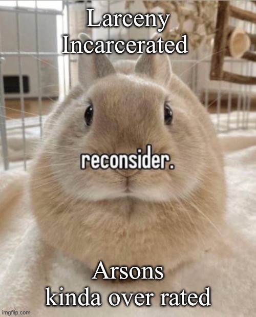 We’re great at crime | Larceny Incarcerated; Arsons kinda over rated | image tagged in reconsider | made w/ Imgflip meme maker