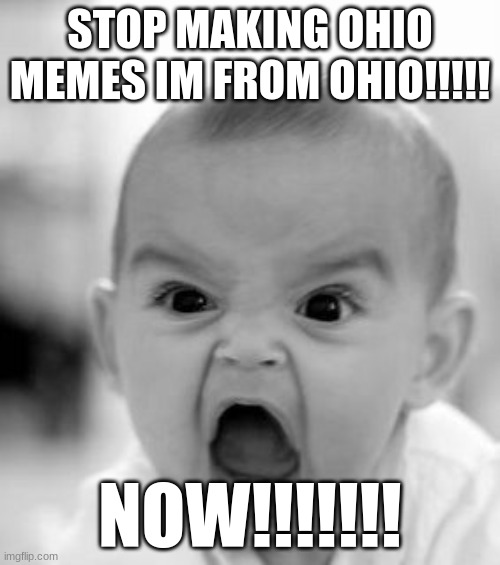 Angry Baby Meme | STOP MAKING OHIO MEMES IM FROM OHIO!!!!! NOW!!!!!!! | image tagged in memes,angry baby | made w/ Imgflip meme maker
