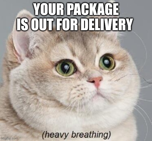 Heavy Breathing Cat | YOUR PACKAGE IS OUT FOR DELIVERY | image tagged in memes,heavy breathing cat | made w/ Imgflip meme maker