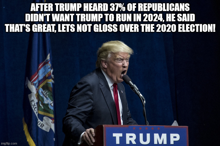 TRUMP 2020 | AFTER TRUMP HEARD 37% OF REPUBLICANS DIDN'T WANT TRUMP TO RUN IN 2024, HE SAID THAT'S GREAT, LETS NOT GLOSS OVER THE 2020 ELECTION! | image tagged in donald trump,election 2020,election 2024,maga,big lie | made w/ Imgflip meme maker