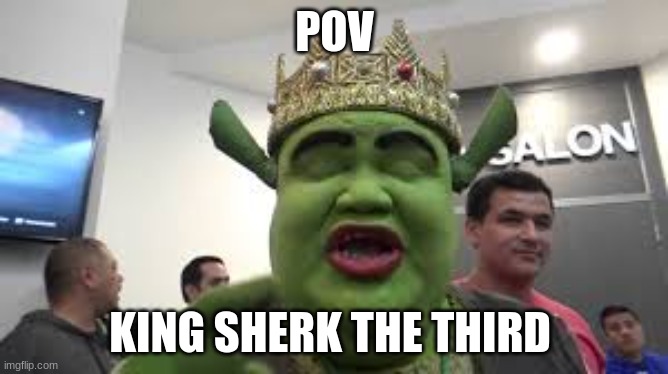 king sherk | POV; KING SHERK THE THIRD | image tagged in memes,funny memes | made w/ Imgflip meme maker