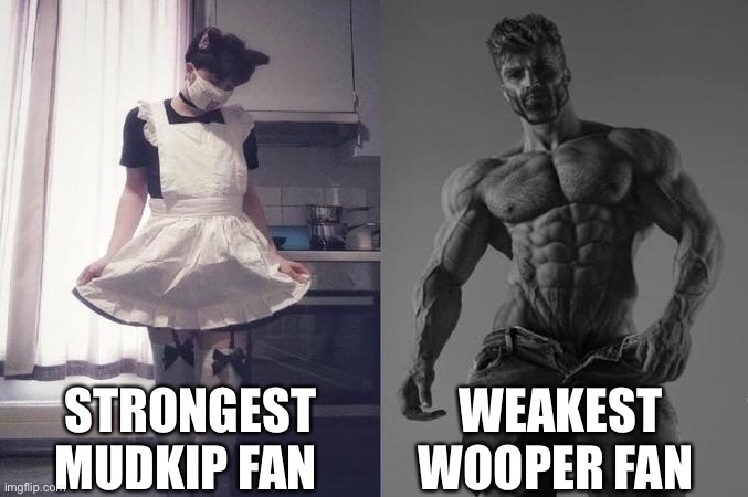I do like Mudkip but wooper is better | STRONGEST MUDKIP FAN; WEAKEST WOOPER FAN | image tagged in strongest fan vs weakest fan | made w/ Imgflip meme maker