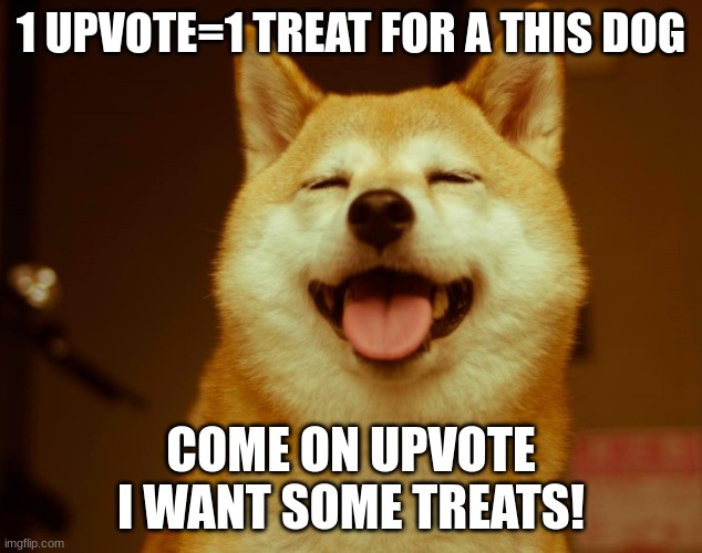 happy doge | 1 UPVOTE=1 TREAT FOR A THIS DOG; COME ON UPVOTE I WANT SOME TREATS! | image tagged in happy doge | made w/ Imgflip meme maker