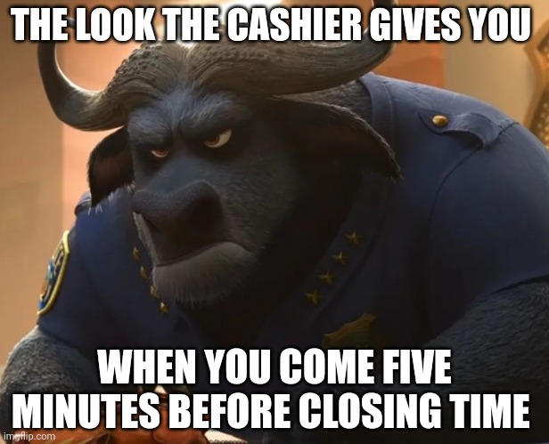 Chief Bogo is Displeased | THE LOOK THE CASHIER GIVES YOU; WHEN YOU COME FIVE MINUTES BEFORE CLOSING TIME | image tagged in chief bogo mad,zootopia,the face you make when,cashier,funny,memes | made w/ Imgflip meme maker