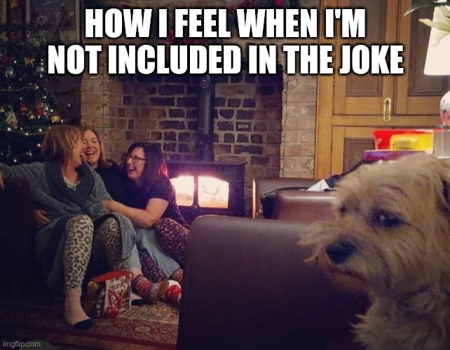 When I'm left out | HOW I FEEL WHEN I'M NOT INCLUDED IN THE JOKE | image tagged in sad wolverine left out of party,grumpy cat,grumpy dog,grumpy cat christmas,sad dog,disaster girl | made w/ Imgflip meme maker
