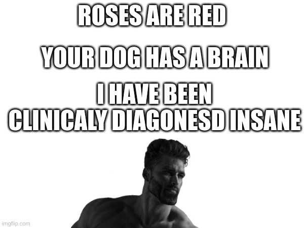 ROSES ARE RED; YOUR DOG HAS A BRAIN; I HAVE BEEN CLINICALY DIAGONESD INSANE | image tagged in lol | made w/ Imgflip meme maker