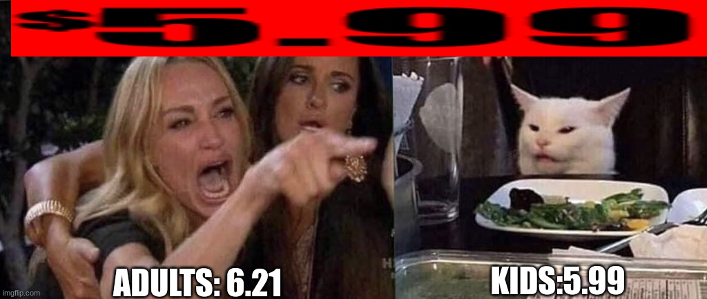 woman yelling at cat | KIDS:5.99; ADULTS: 6.21 | image tagged in woman yelling at cat | made w/ Imgflip meme maker