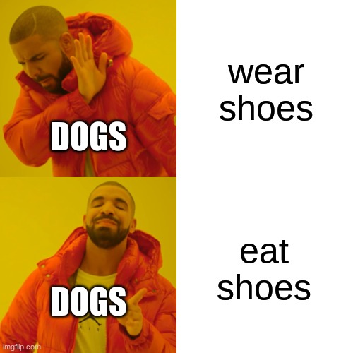 Bruh | wear shoes; DOGS; eat shoes; DOGS | image tagged in memes,drake hotline bling | made w/ Imgflip meme maker