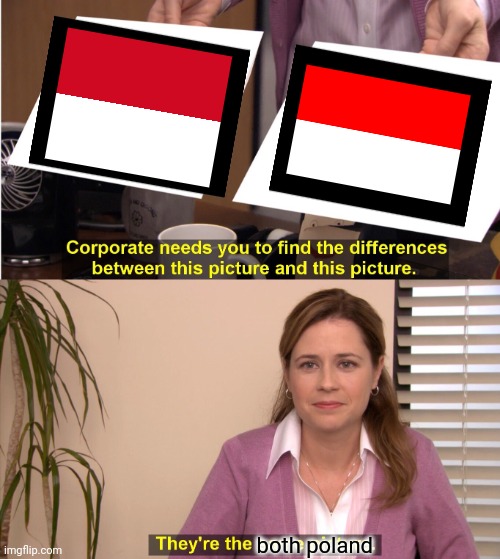 Monaco on the left, Indonesia on the right | both poland | image tagged in memes,they're the same picture | made w/ Imgflip meme maker