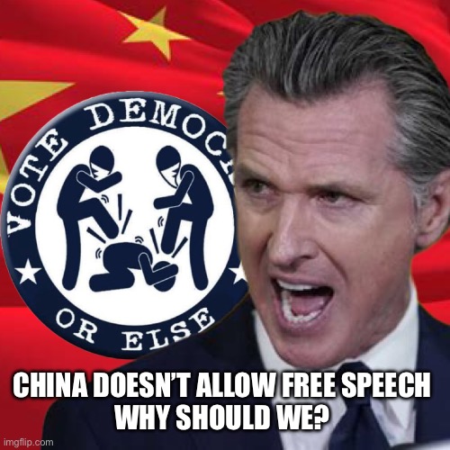 Gavin speaks truth | CHINA DOESN’T ALLOW FREE SPEECH 
WHY SHOULD WE? | image tagged in vote d or else,memes | made w/ Imgflip meme maker