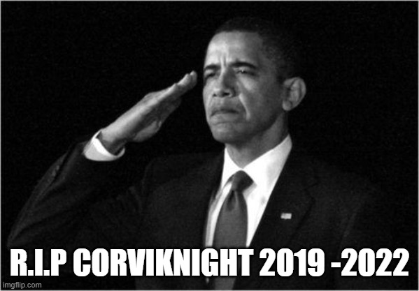 obama-salute | R.I.P CORVIKNIGHT 2019 -2022 | image tagged in obama-salute | made w/ Imgflip meme maker