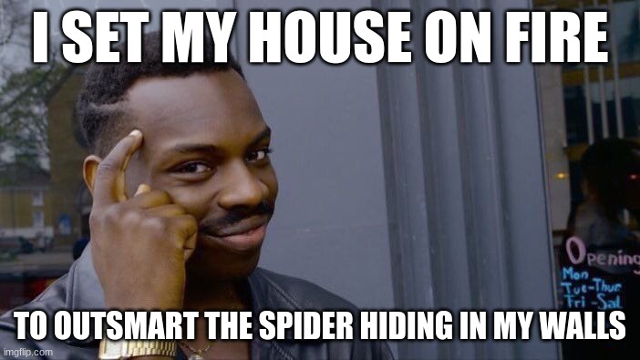 big brain time | I SET MY HOUSE ON FIRE; TO OUTSMART THE SPIDER HIDING IN MY WALLS | image tagged in memes,roll safe think about it | made w/ Imgflip meme maker