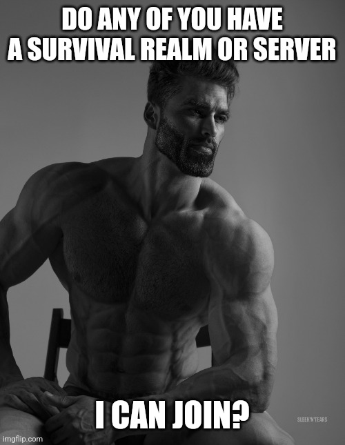 Anyone? | DO ANY OF YOU HAVE A SURVIVAL REALM OR SERVER; I CAN JOIN? | image tagged in giga chad | made w/ Imgflip meme maker