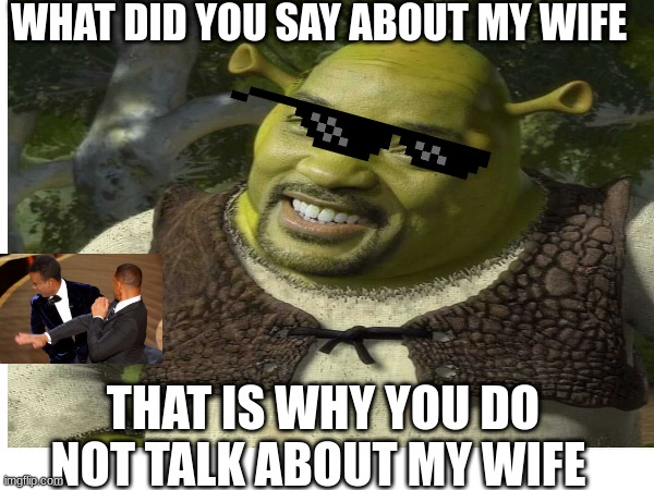 will | WHAT DID YOU SAY ABOUT MY WIFE; THAT IS WHY YOU DO NOT TALK ABOUT MY WIFE | image tagged in cool | made w/ Imgflip meme maker