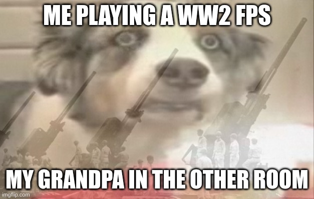 ptsd dogo | ME PLAYING A WW2 FPS; MY GRANDPA IN THE OTHER ROOM | image tagged in ptsd dogo | made w/ Imgflip meme maker