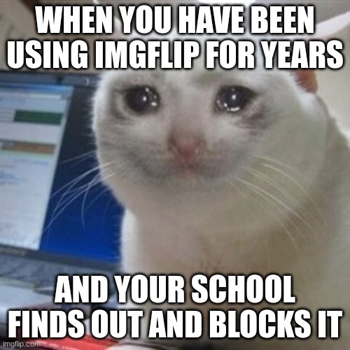I hope this never happens to me | WHEN YOU HAVE BEEN USING IMGFLIP FOR YEARS; AND YOUR SCHOOL FINDS OUT AND BLOCKS IT | image tagged in crying cat,school sucks | made w/ Imgflip meme maker