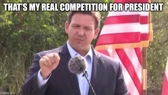 Florida Governor Ron DeSantis | THAT’S MY REAL COMPETITION FOR PRESIDENT | image tagged in florida governor ron desantis | made w/ Imgflip meme maker