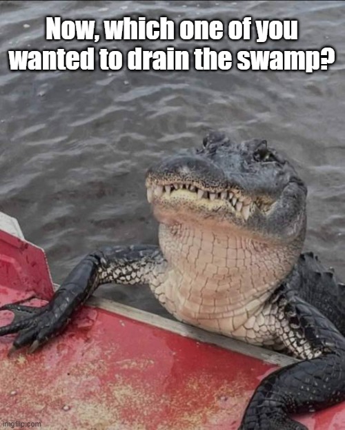 Drain the swamp? | Now, which one of you wanted to drain the swamp? | image tagged in alligator,crocodile,drain the swamp,scumbag republicans,nevertrump | made w/ Imgflip meme maker