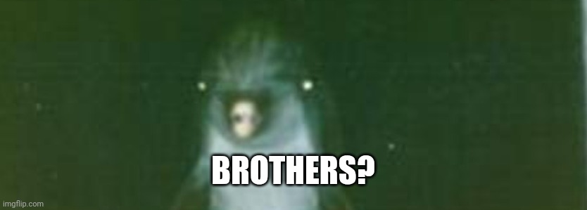 BROTHERS? | made w/ Imgflip meme maker