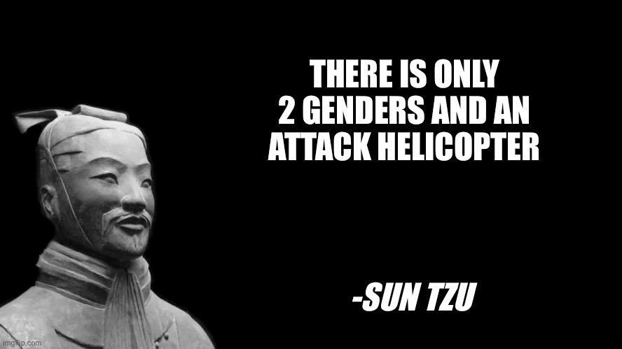 Sun Tzu | THERE IS ONLY 2 GENDERS AND AN ATTACK HELICOPTER; -SUN TZU | image tagged in sun tzu | made w/ Imgflip meme maker