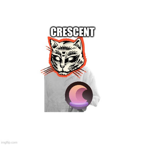 CATS | CRESCENT | image tagged in funny cats | made w/ Imgflip meme maker