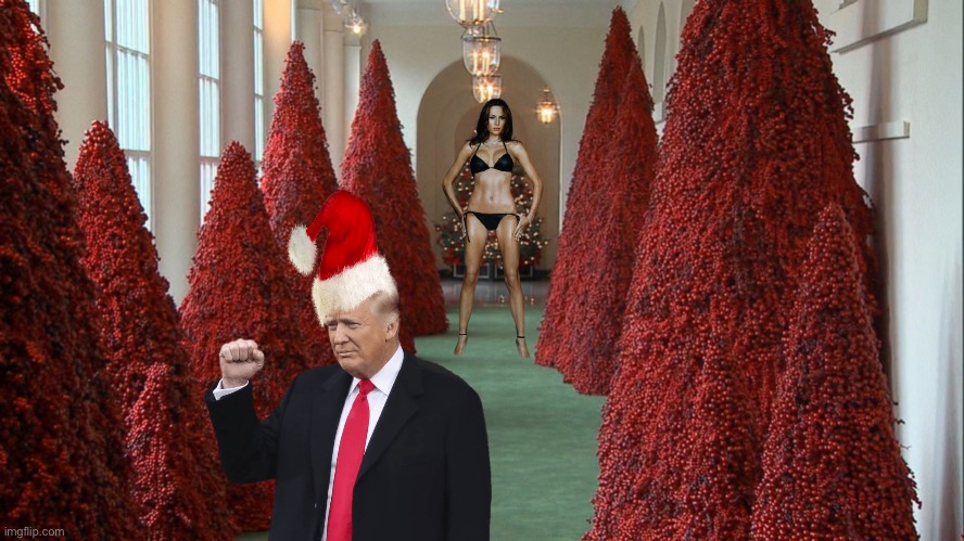 Trump Christmas Trees | image tagged in trump christmas trees | made w/ Imgflip meme maker