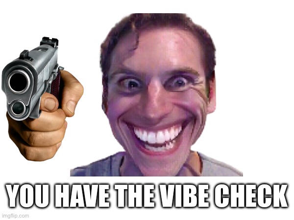 Vibe check | YOU HAVE THE VIBE CHECK | image tagged in vibe check | made w/ Imgflip meme maker