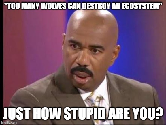 some people just don't know anything. | "TOO MANY WOLVES CAN DESTROY AN ECOSYSTEM"; JUST HOW STUPID ARE YOU? | image tagged in how stupid are you | made w/ Imgflip meme maker