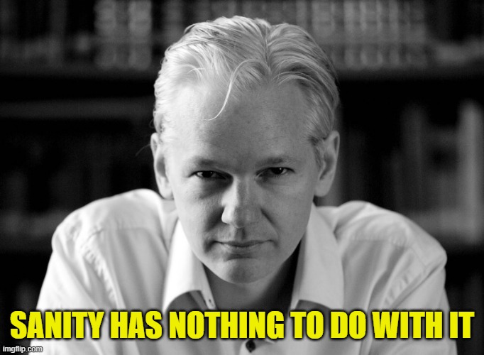 Julian Assange | SANITY HAS NOTHING TO DO WITH IT | image tagged in julian assange | made w/ Imgflip meme maker
