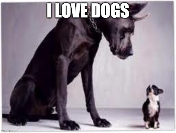 Big Dog, Little Dog | I LOVE DOGS | image tagged in big dog little dog | made w/ Imgflip meme maker