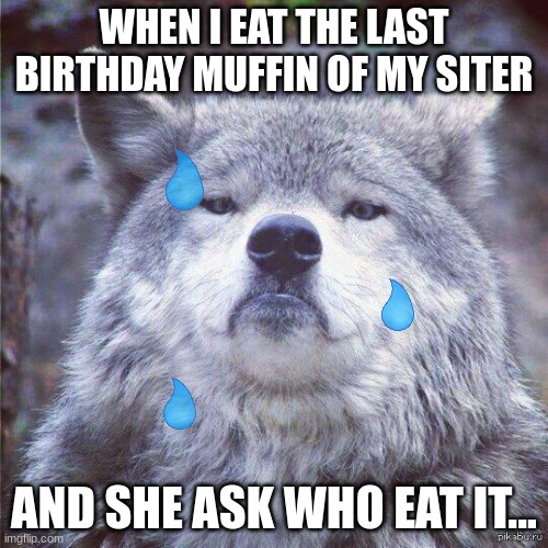 happy birthday! | WHEN I EAT THE LAST BIRTHDAY MUFFIN OF MY SITER; AND SHE ASK WHO EAT IT... | image tagged in gorgeous wolf | made w/ Imgflip meme maker