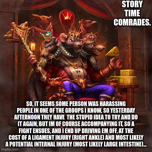 if i was lying i wouldnt be leaving a hospital right now would i, the internal injury was that severe. | STORY TIME COMRADES. SO, IT SEEMS SOME PERSON WAS HARASSING PEOPLE IN ONE OF THE GROUPS I KNOW, SO YESTERDAY AFTERNOON THEY HAVE  THE STUPID IDEA TO TRY AND DO IT AGAIN, BUT IM OF COURSE ACCOMPANYING IT, SO A FIGHT ENSUES, AND I END UP DRIVING EM OFF, AT THE COST OF A LIGAMENT INJURY (RIGHT ANKLE) AND MOST LIKELY A POTENTIAL INTERNAL INJURY (MOST LIKELY LARGE INTESTINE)... | image tagged in fight | made w/ Imgflip meme maker