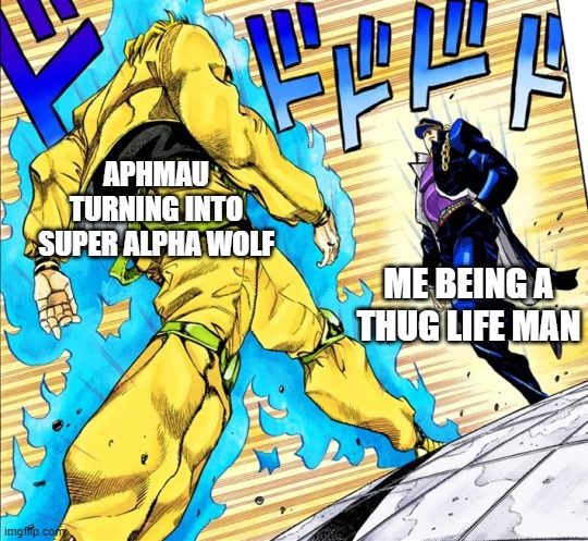 The Greatest battle of all time | APHMAU TURNING INTO SUPER ALPHA WOLF; ME BEING A THUG LIFE MAN | image tagged in jojo's walk | made w/ Imgflip meme maker