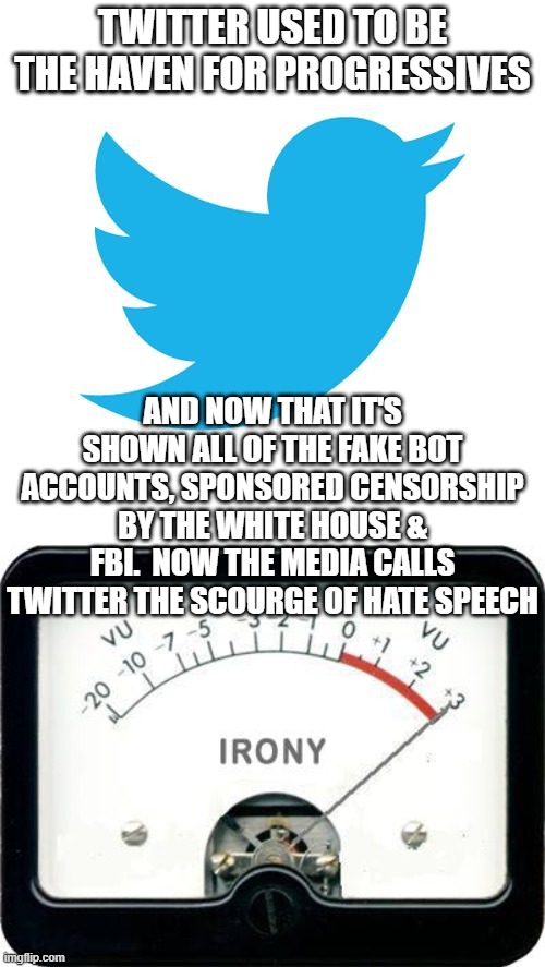 TWITTER USED TO BE THE HAVEN FOR PROGRESSIVES; AND NOW THAT IT'S SHOWN ALL OF THE FAKE BOT ACCOUNTS, SPONSORED CENSORSHIP BY THE WHITE HOUSE & FBI.  NOW THE MEDIA CALLS TWITTER THE SCOURGE OF HATE SPEECH | image tagged in twitter birds says,irony meter | made w/ Imgflip meme maker