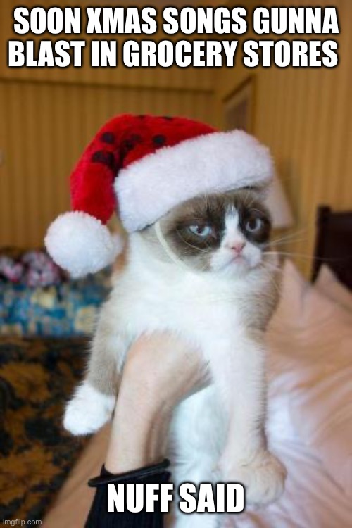 Grumpy Cat Christmas | SOON XMAS SONGS GUNNA BLAST IN GROCERY STORES; NUFF SAID | image tagged in memes,grumpy cat christmas,grumpy cat | made w/ Imgflip meme maker