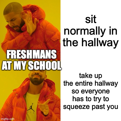 why you sit like that | sit normally in the hallway; FRESHMANS AT MY SCHOOL; take up the entire hallway so everyone has to try to squeeze past you | image tagged in memes,drake hotline bling | made w/ Imgflip meme maker