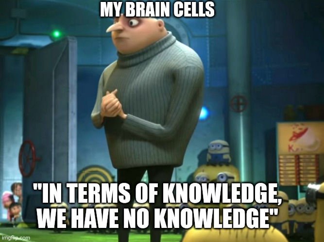 In terms of money, we have no money | MY BRAIN CELLS; "IN TERMS OF KNOWLEDGE, WE HAVE NO KNOWLEDGE" | image tagged in in terms of money we have no money | made w/ Imgflip meme maker