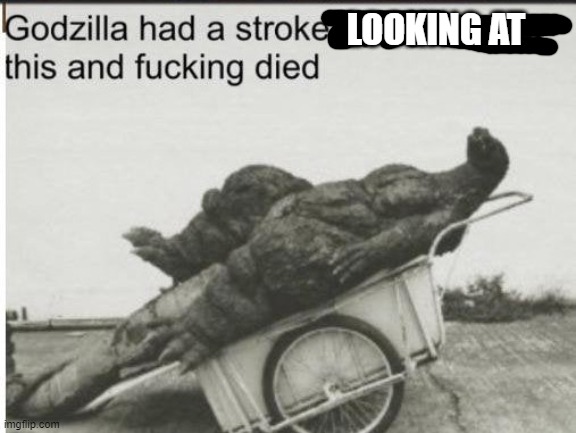 Godzilla | LOOKING AT | image tagged in godzilla | made w/ Imgflip meme maker