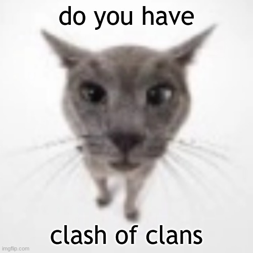 do you have clash of clans | do you have; clash of clans | image tagged in goofy ahh cat,memes,funny,clash of clans | made w/ Imgflip meme maker