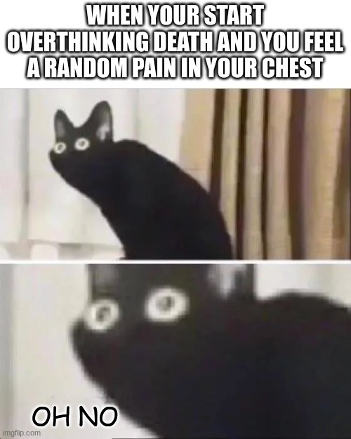 panic sets in | WHEN YOUR START OVERTHINKING DEATH AND YOU FEEL A RANDOM PAIN IN YOUR CHEST; OH NO | image tagged in scared cat,memes | made w/ Imgflip meme maker