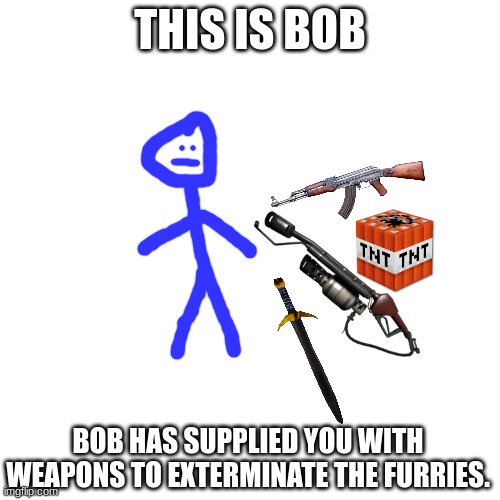 THIS IS BOB; BOB HAS SUPPLIED YOU WITH WEAPONS TO EXTERMINATE THE FURRIES. | image tagged in blank white template,anti furry,kill | made w/ Imgflip meme maker