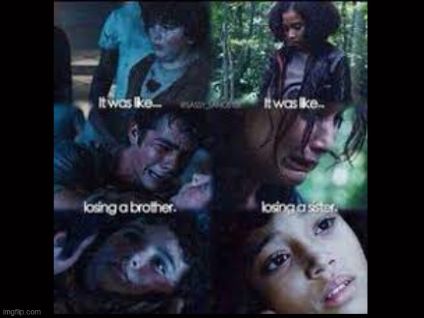 Two of the most emotional deaths in filming history | image tagged in hunger games,maze runner,death,emotional | made w/ Imgflip meme maker