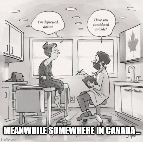 Canada working hard to eliminate depression... | MEANWHILE SOMEWHERE IN CANADA... | image tagged in meanwhile in canada | made w/ Imgflip meme maker