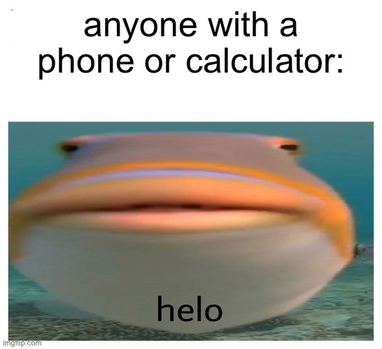 helo fish | anyone with a phone or calculator: | image tagged in helo fish | made w/ Imgflip meme maker