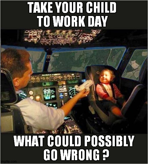 Nose Dive ! | TAKE YOUR CHILD 
TO WORK DAY; WHAT COULD POSSIBLY
  GO WRONG ? | image tagged in airplane,pilot,baby,nose dive,dark humour | made w/ Imgflip meme maker
