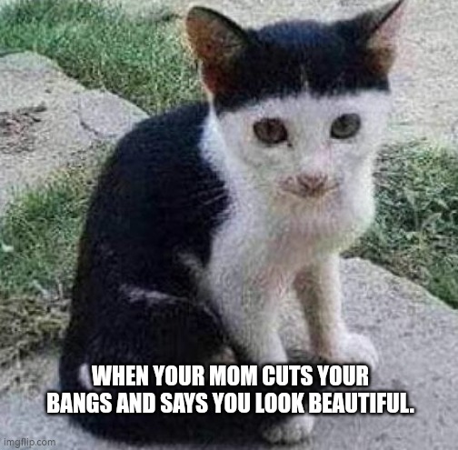 WHEN YOUR MOM CUTS YOUR BANGS AND SAYS YOU LOOK BEAUTIFUL. | image tagged in fun | made w/ Imgflip meme maker