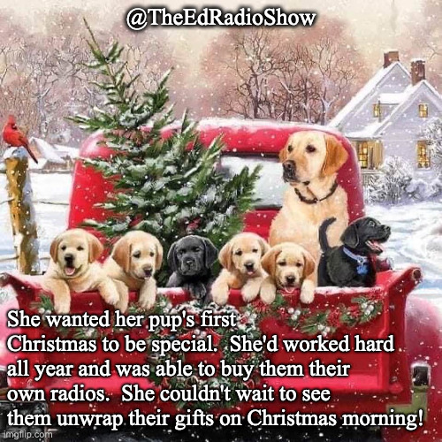 Pup's first Christmas | @TheEdRadioShow; She wanted her pup's first Christmas to be special.  She'd worked hard all year and was able to buy them their own radios.  She couldn't wait to see them unwrap their gifts on Christmas morning! | image tagged in christmas presents | made w/ Imgflip meme maker