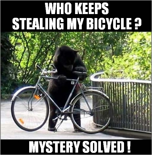 Watch Out - Thieving Bear About ! | WHO KEEPS STEALING MY BICYCLE ? MYSTERY SOLVED ! | image tagged in fun,bear,bicycle,thief,mystery | made w/ Imgflip meme maker