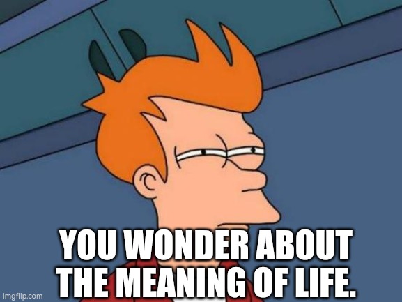 Futurama Fry | YOU WONDER ABOUT THE MEANING OF LIFE. | image tagged in memes,futurama fry | made w/ Imgflip meme maker